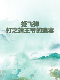 姬飞弹打之靖王爷的追妻