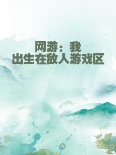 网游：我出生在敌人游戏区