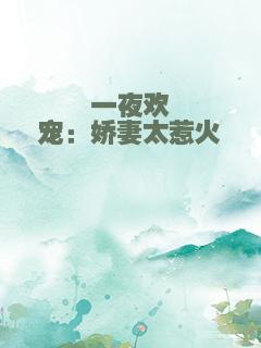 一夜欢宠：娇妻太惹火