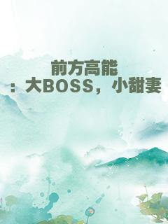 前方高能：大BOSS，小甜妻