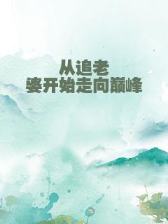 从追老婆开始走向巅峰