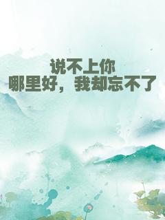 说不上你哪里好，我却忘不了