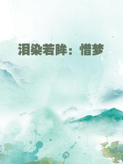 泪染若眸：惜梦