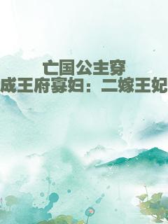 亡国公主穿成王府寡妇：二嫁王妃