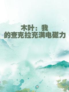 木叶：我的查克拉充满电磁力