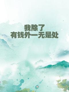 我除了有钱外一无是处