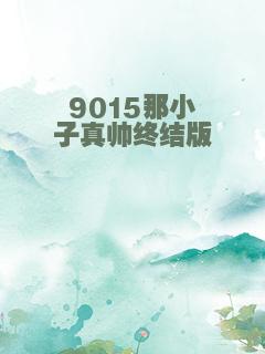 9015那小子真帅终结版