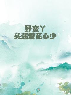野蛮丫头遇爱花心少