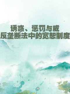 诱惑、惩罚与威慑：反垄断法中的宽恕制度研究