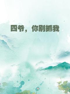四爷，你别抓我