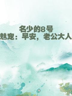 名少的8号魅宠：早安，老公大人