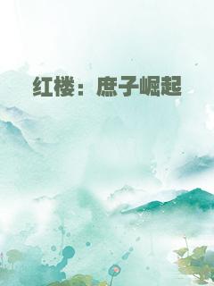 红楼：庶子崛起