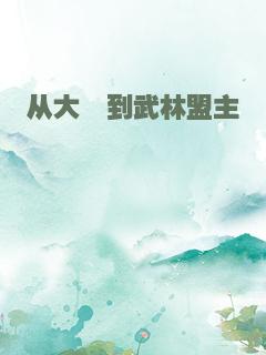 从大佬到武林盟主
