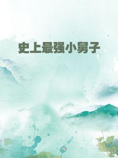 史上最强小舅子