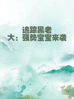 追踪黑老大：强势宝宝来袭