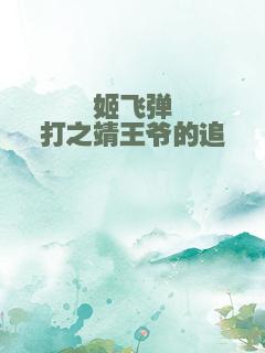 姬飞弹打之靖王爷的追