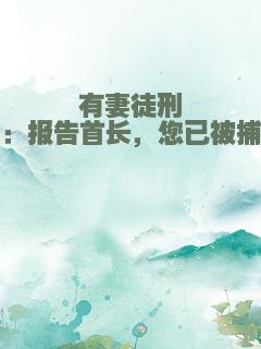 有妻徒刑：报告首长，您已被捕