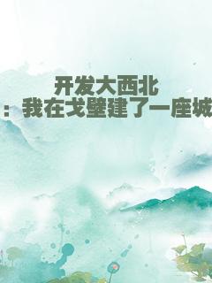 开发大西北：我在戈壁建了一座城