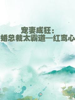 宠妻成狂：闪婚总裁太霸道—红鸾心儿