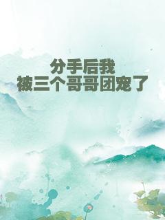 分手后我被三个哥哥团宠了