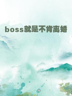 boss就是不肯离婚