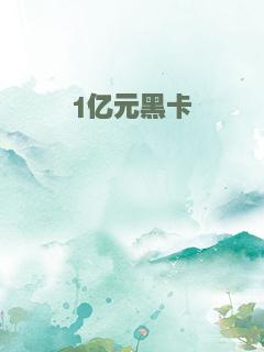 1亿元黑卡