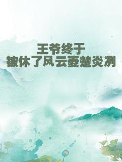 王爷终于被休了风云菱楚炎冽