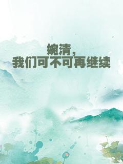 婉清，我们可不可再继续