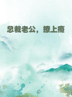 总裁老公，撩上瘾