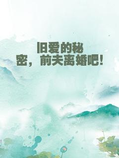 旧爱的秘密，前夫离婚吧！