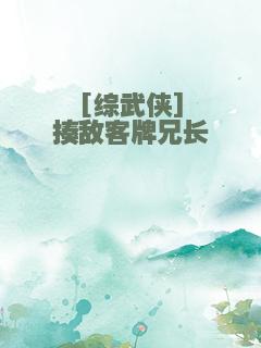 [综武侠]揍敌客牌兄长