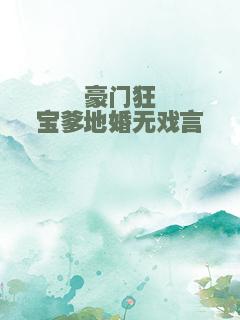 豪门狂宝爹地婚无戏言