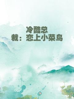 冷酷总裁：恋上小菜鸟