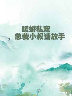 暖婚私宠，总裁小叔请放手
