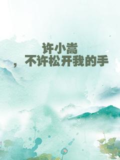 许小嵩，不许松开我的手