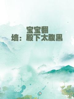 宝宝翻墙：殿下太腹黑
