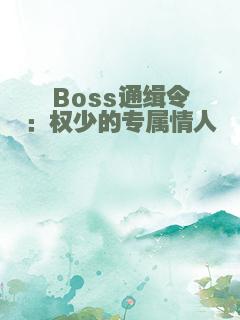 Boss通缉令：权少的专属情人
