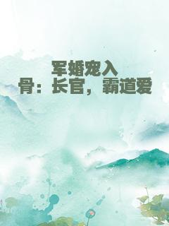军婚宠入骨：长官，霸道爱