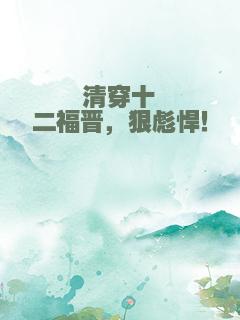 清穿十二福晋，狠彪悍！