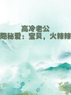 高冷老公隐秘爱：宝贝，火辣辣
