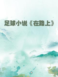 足球小说《在路上》