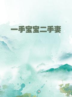 一手宝宝二手妻