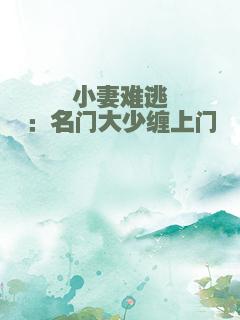 小妻难逃：名门大少缠上门