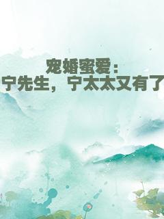 宠婚蜜爱：宁先生，宁太太又有了