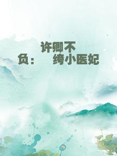许卿不负：纨绔小医妃