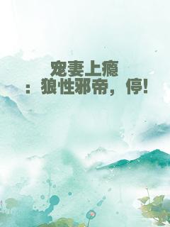 宠妻上瘾：狼性邪帝，停！