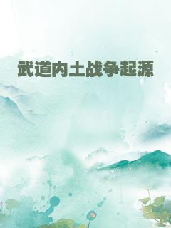 武道内土战争起源