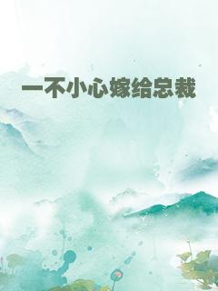 一不小心嫁给总裁