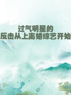 过气明星的反击从上离婚综艺开始