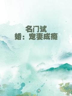 名门试婚：宠妻成瘾